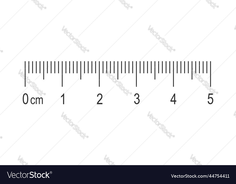 222 875 Ruler Vector Images Stock Photos 3D Objects 55 OFF