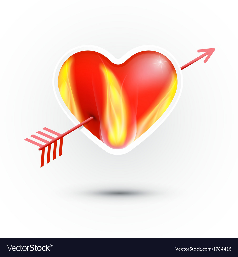 Red heart with fire pierced an arrow isolated Vector Image
