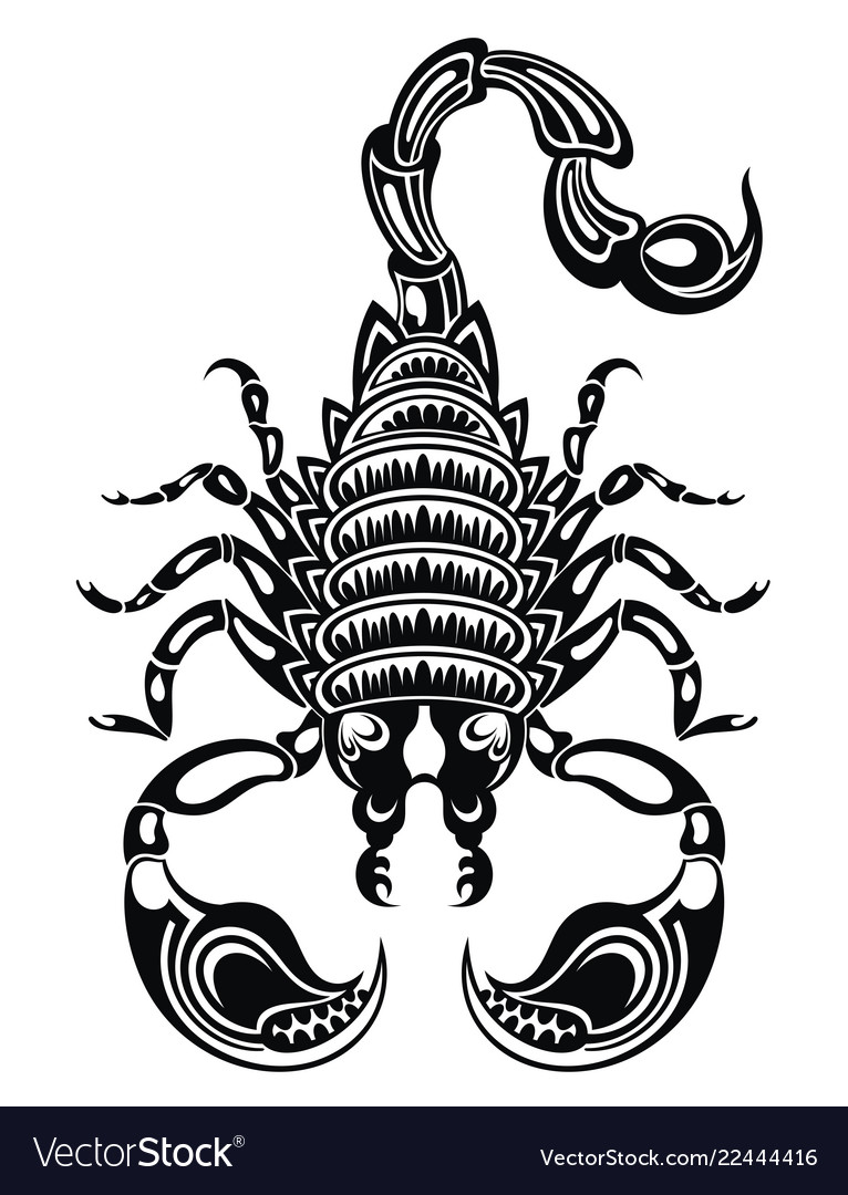 Scorpion Royalty Free Vector Image - VectorStock