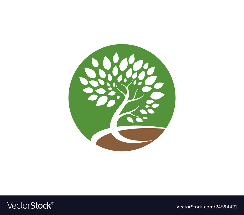 Tree Icon Royalty Free Vector Image - Vectorstock