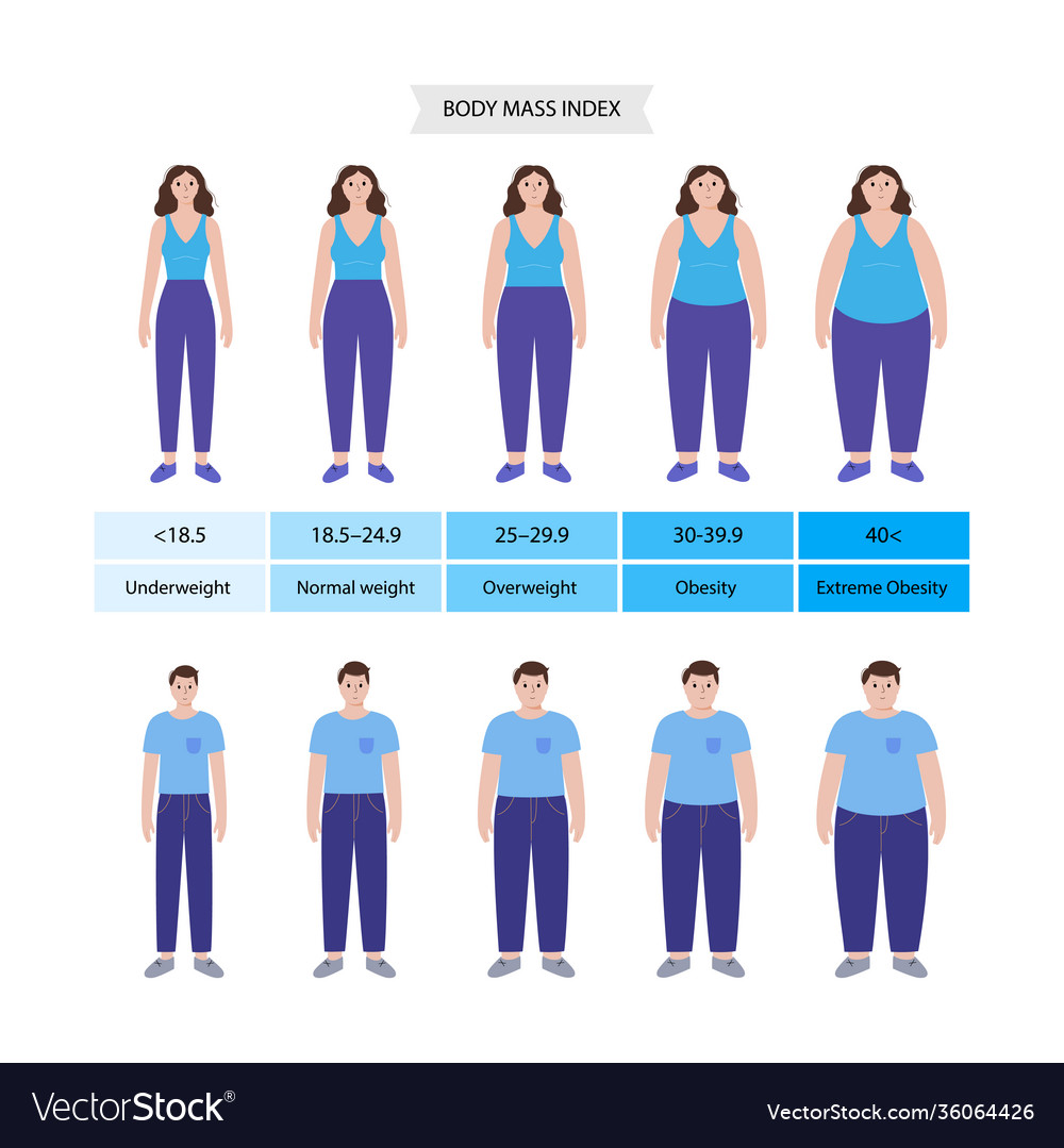 Bmi chart scale body mass Royalty Free Vector Image