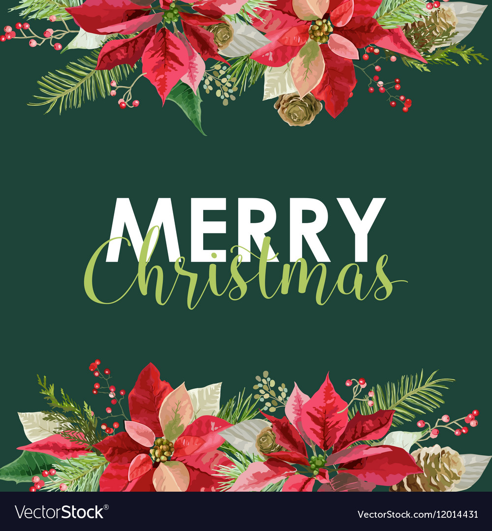 new year and christmas card vintage poinsettia vector image poinsettia card