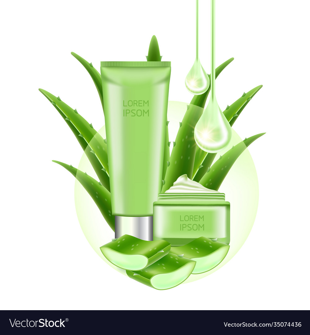 Aloe Vera Collagen And Serum Royalty Free Vector Image