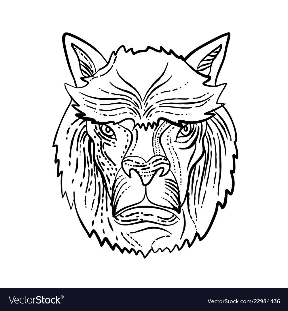 Alpaca head etching black and white Royalty Free Vector