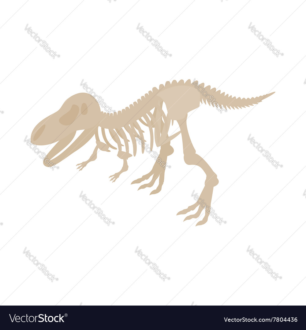 Dinosaur Skeleton Icon Isometric 3d Style Vector Image