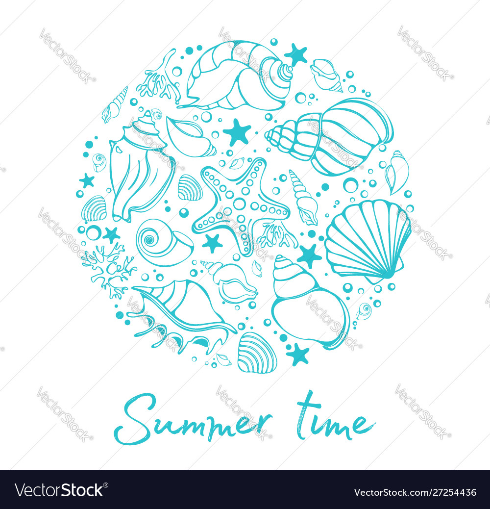 Sea shells vector image Sea shells
