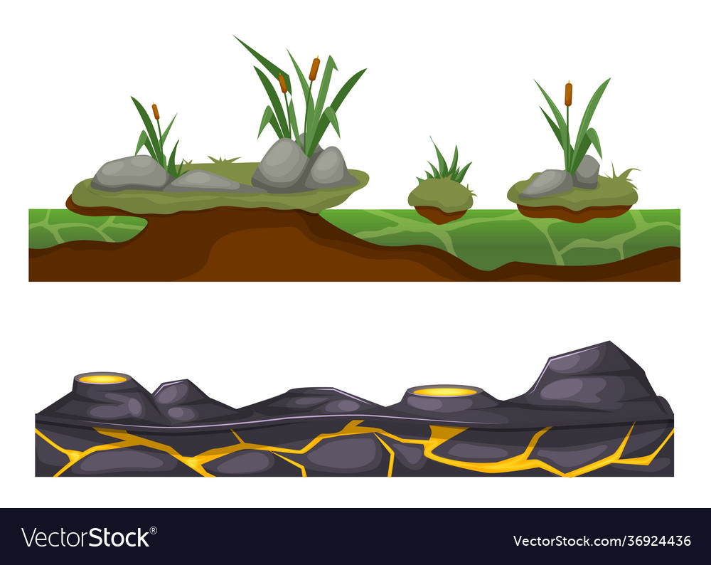 Stony rocky surface earth with vegetation lava