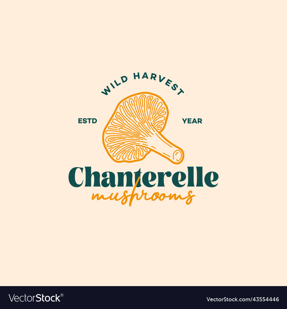 Chanterelle mushroom logo vector image Chanterelle mushroom logo