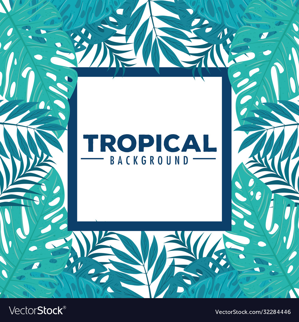 Tropical background and frame branches Royalty Free Vector