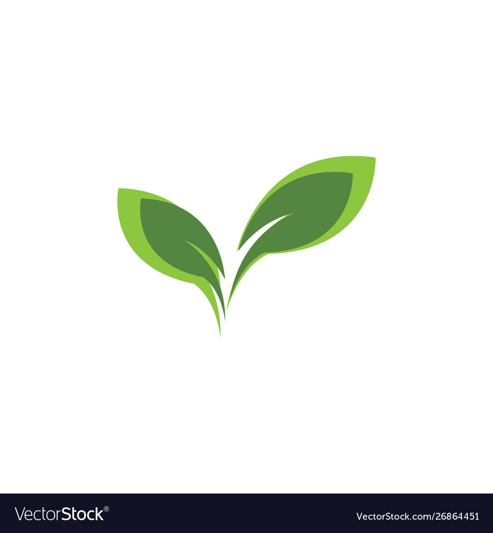 Green leaf logo Royalty Free Vector Image - VectorStock