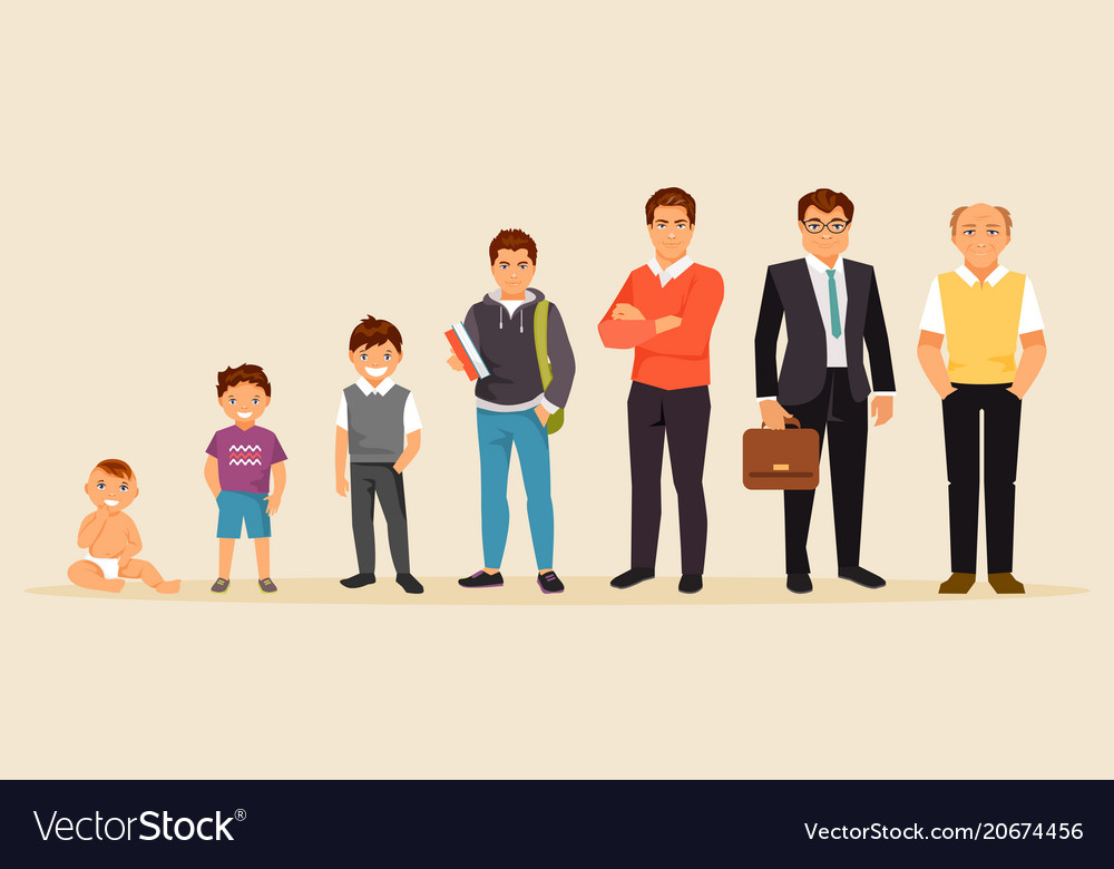 Male age Royalty Free Vector Image VectorStock
