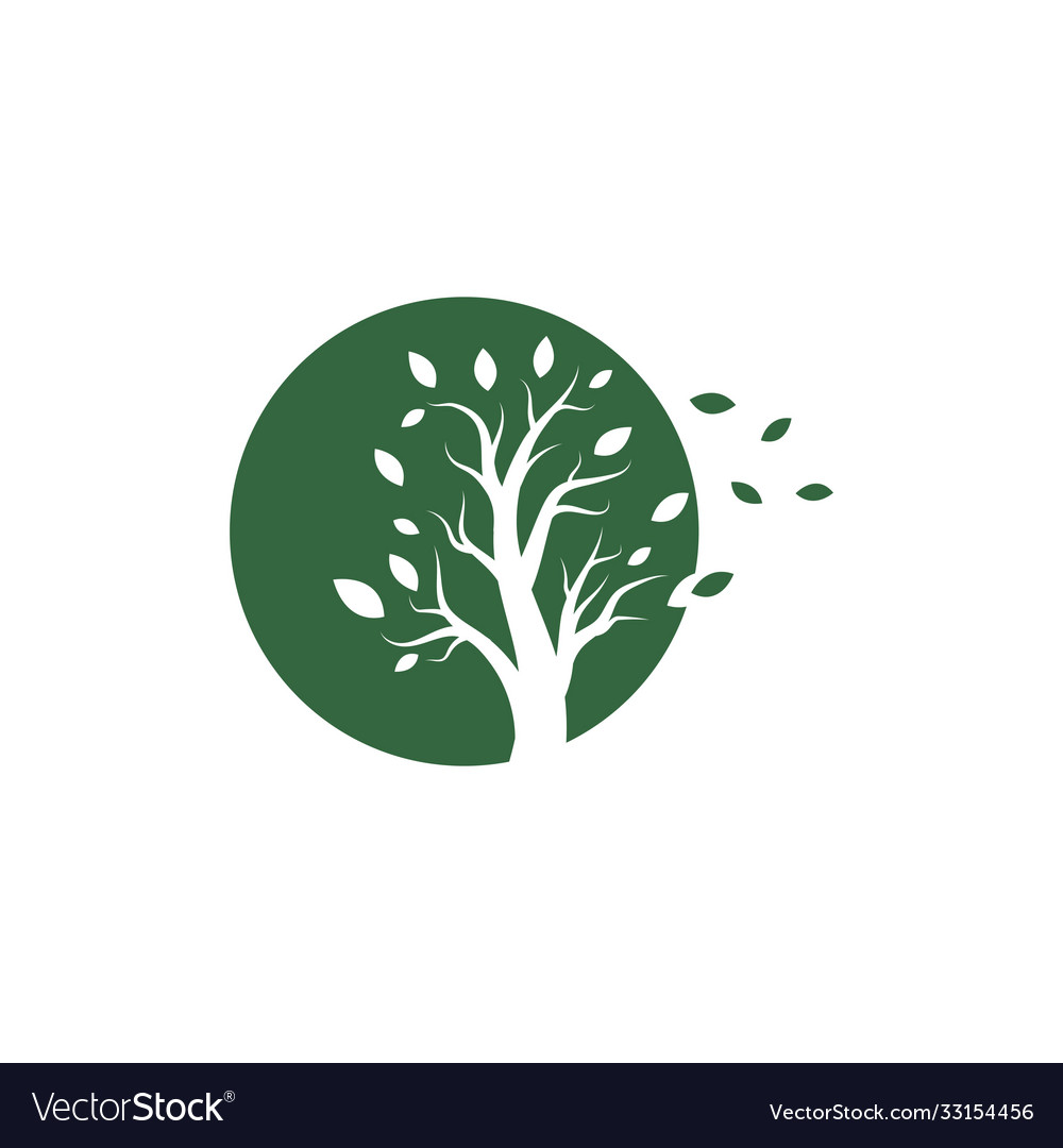 Tree silhouette Royalty Free Vector Image - VectorStock