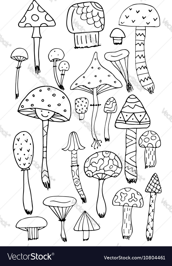 Art mushrooms set sketch for your design