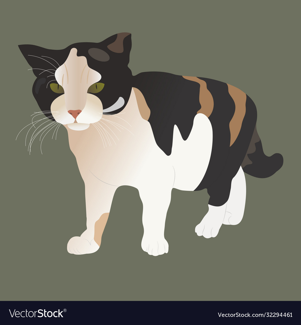 Charming cat with a white breast black-brown spots