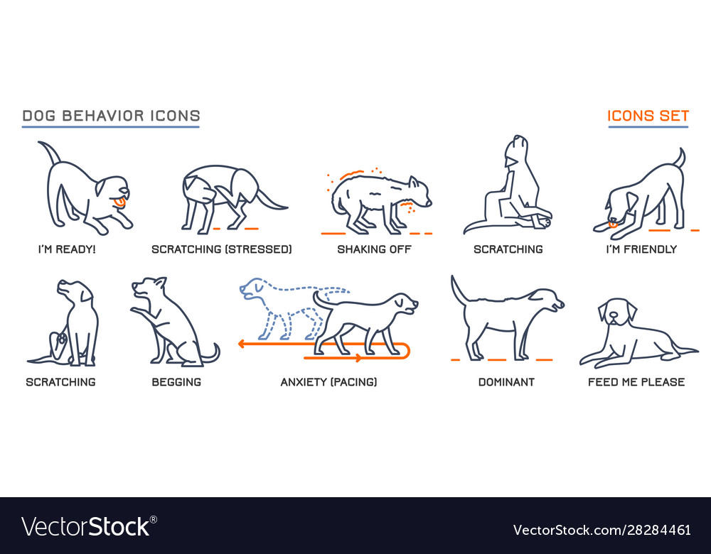 Dog behavior icons set