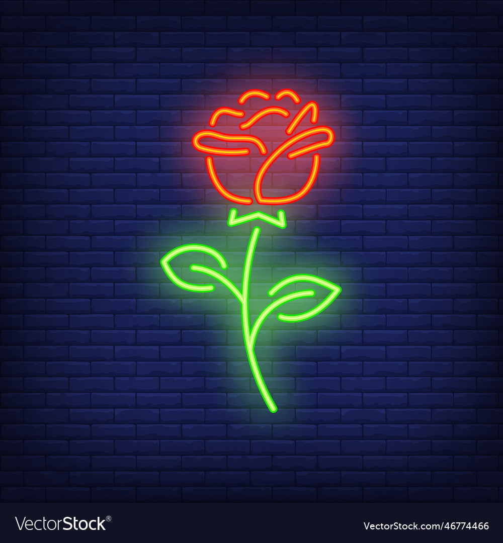 Rose neon sign Royalty Free Vector Image - VectorStock