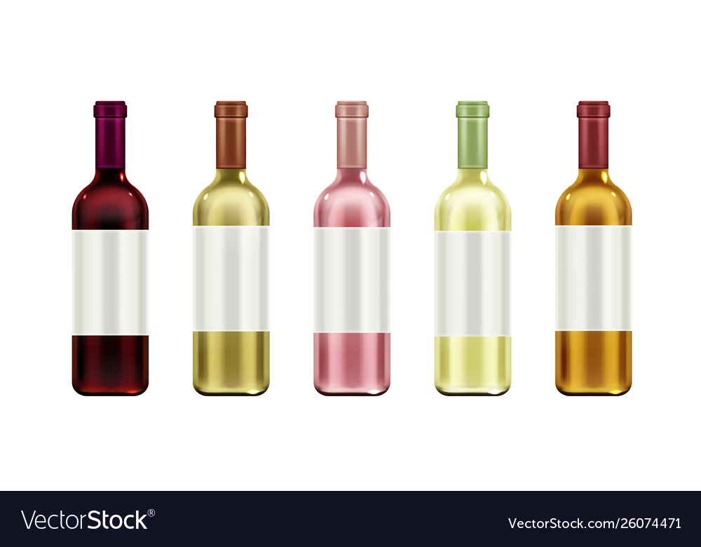 Wine bottles mock up set glass flasks blank label Vector Image