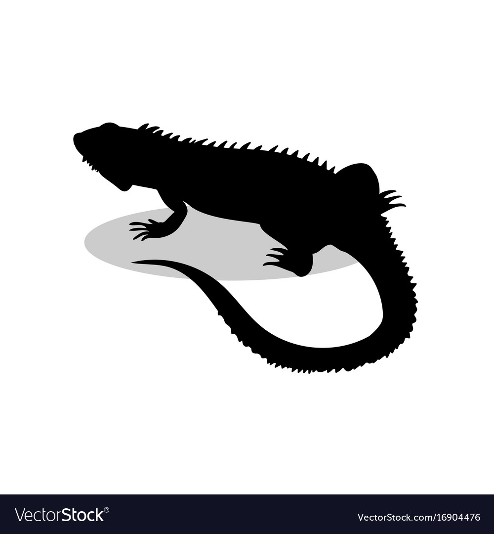 Reptile Silhouette