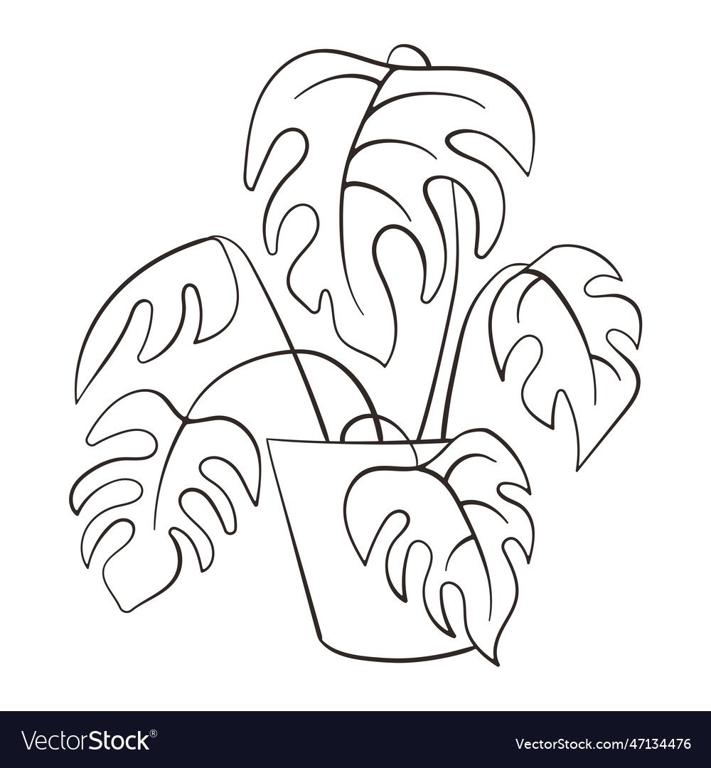 Monstera line art style leaf line art Royalty Free Vector