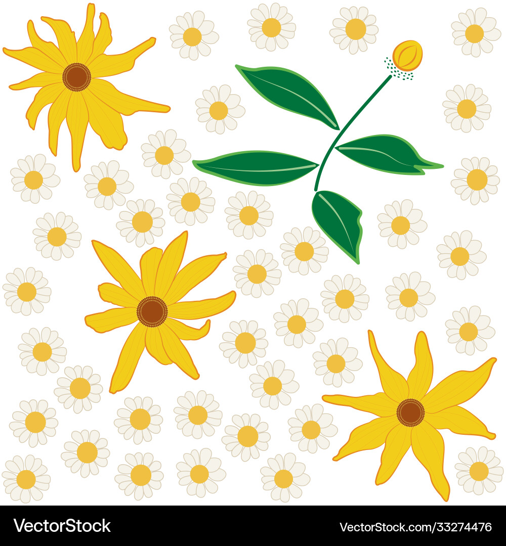 Seamless daisy flower pattern Royalty Free Vector Image