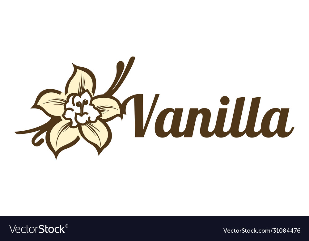 Vanilla flower design template logo and emblem