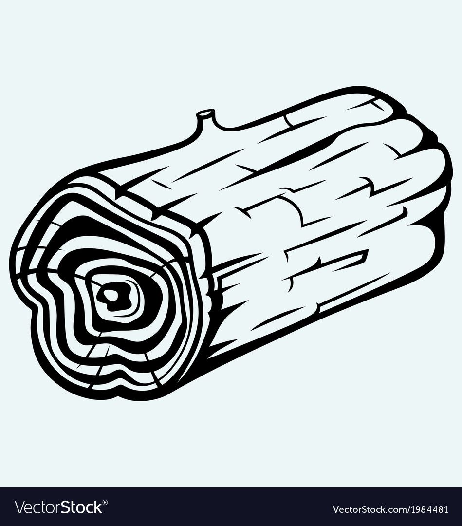 Cross section of tree stump