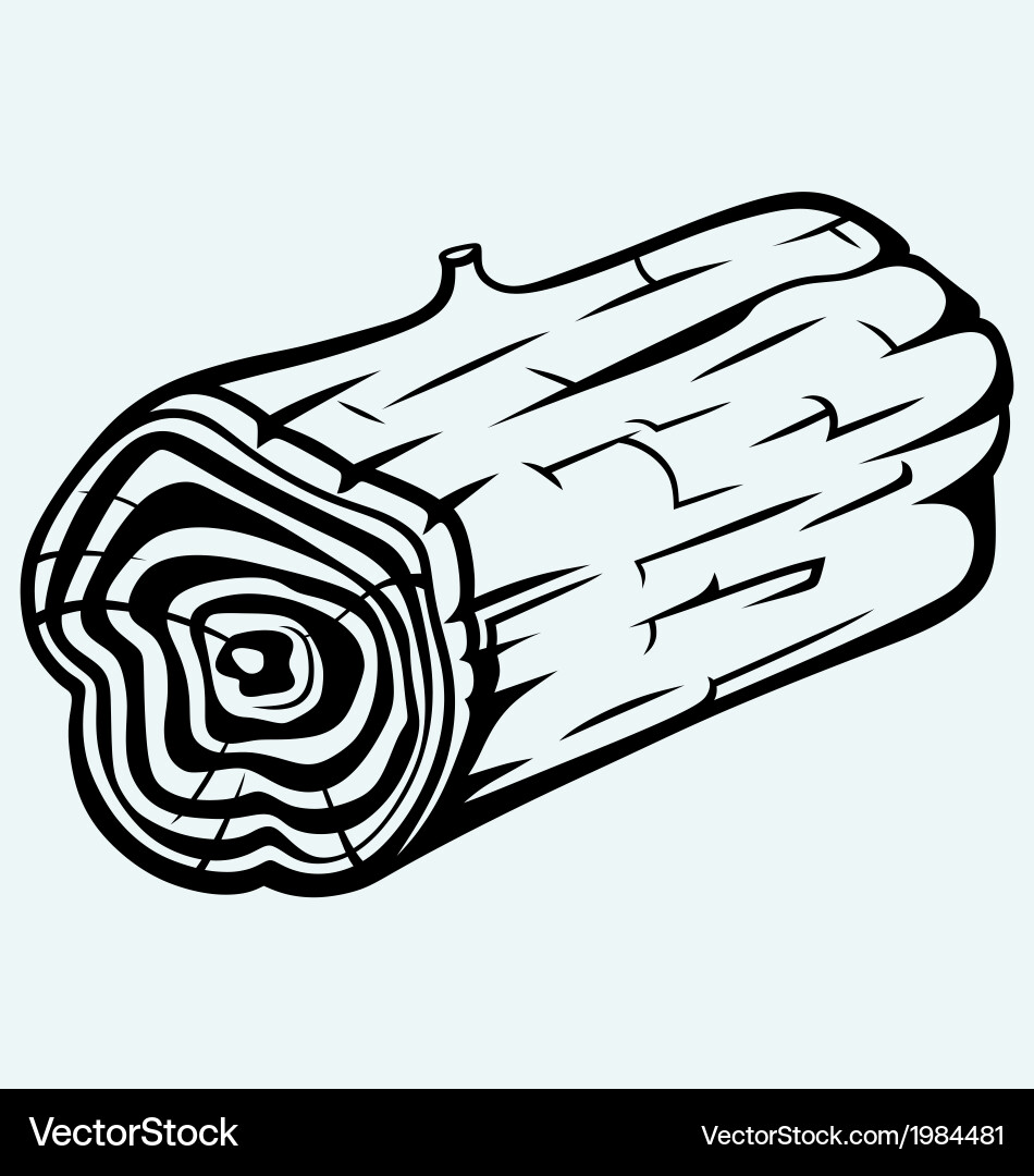 Cross section tree stump Royalty Free Vector Image