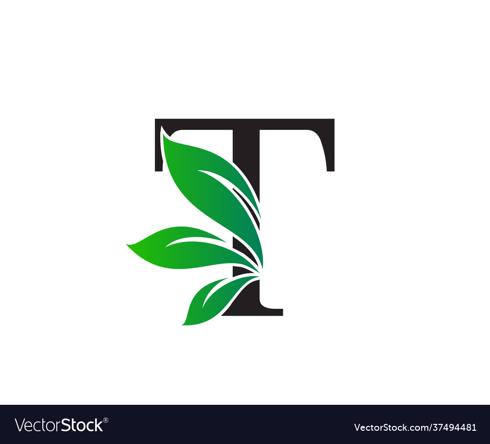 Letter t logo with green leaves nature logo or Vector Image