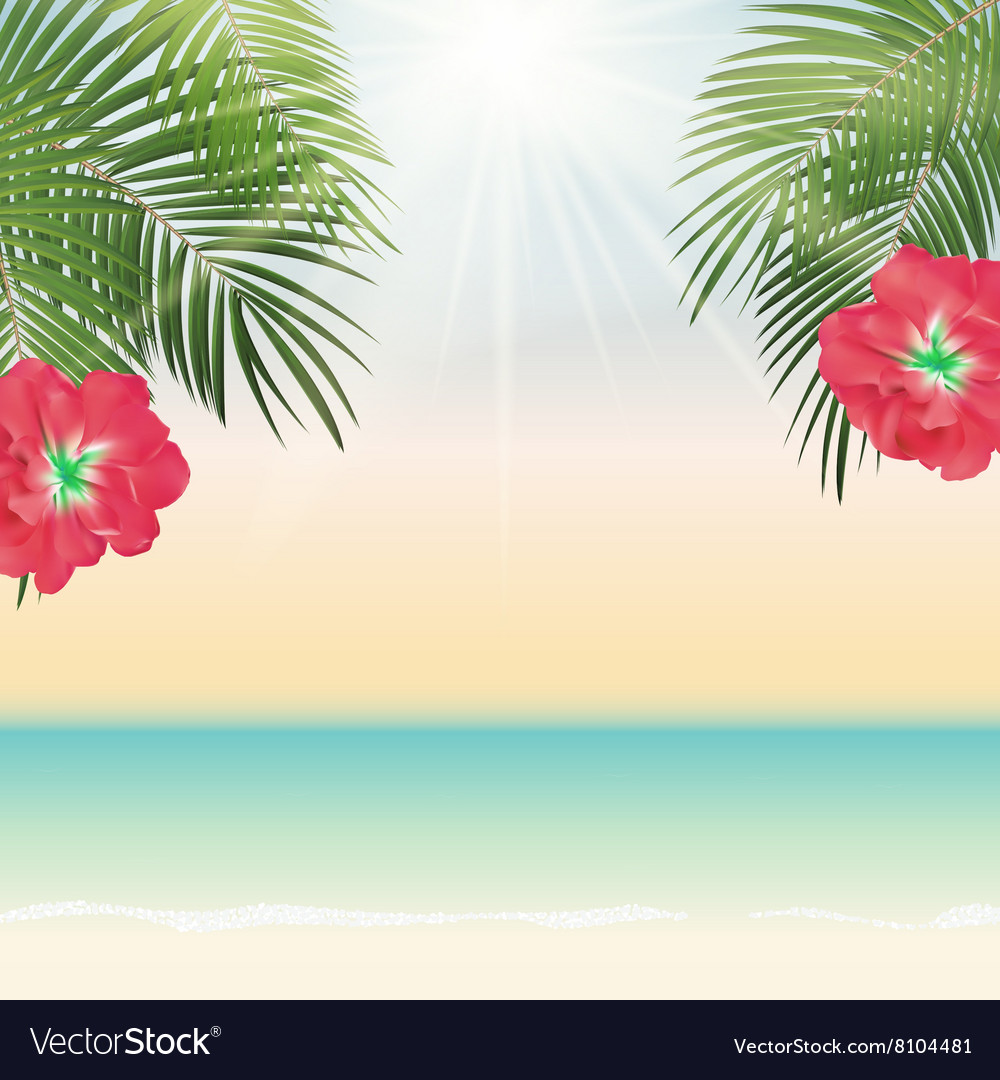 Summer time palm leaf background