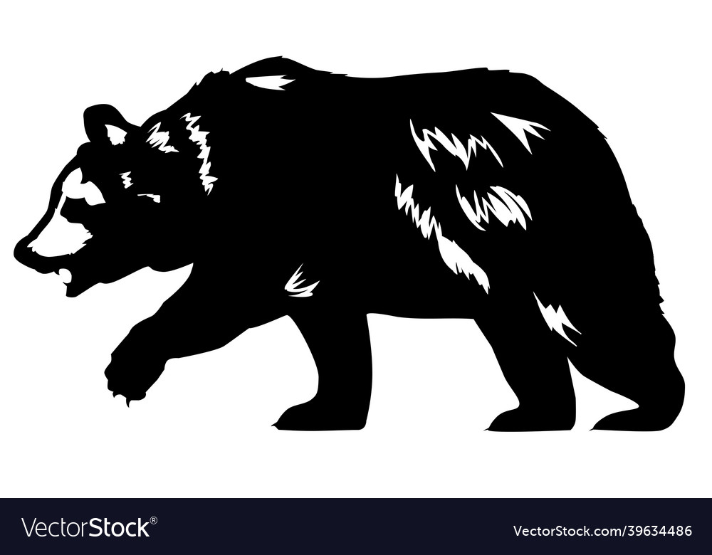 Brown bear fantasy vector image Brown bear fantasy