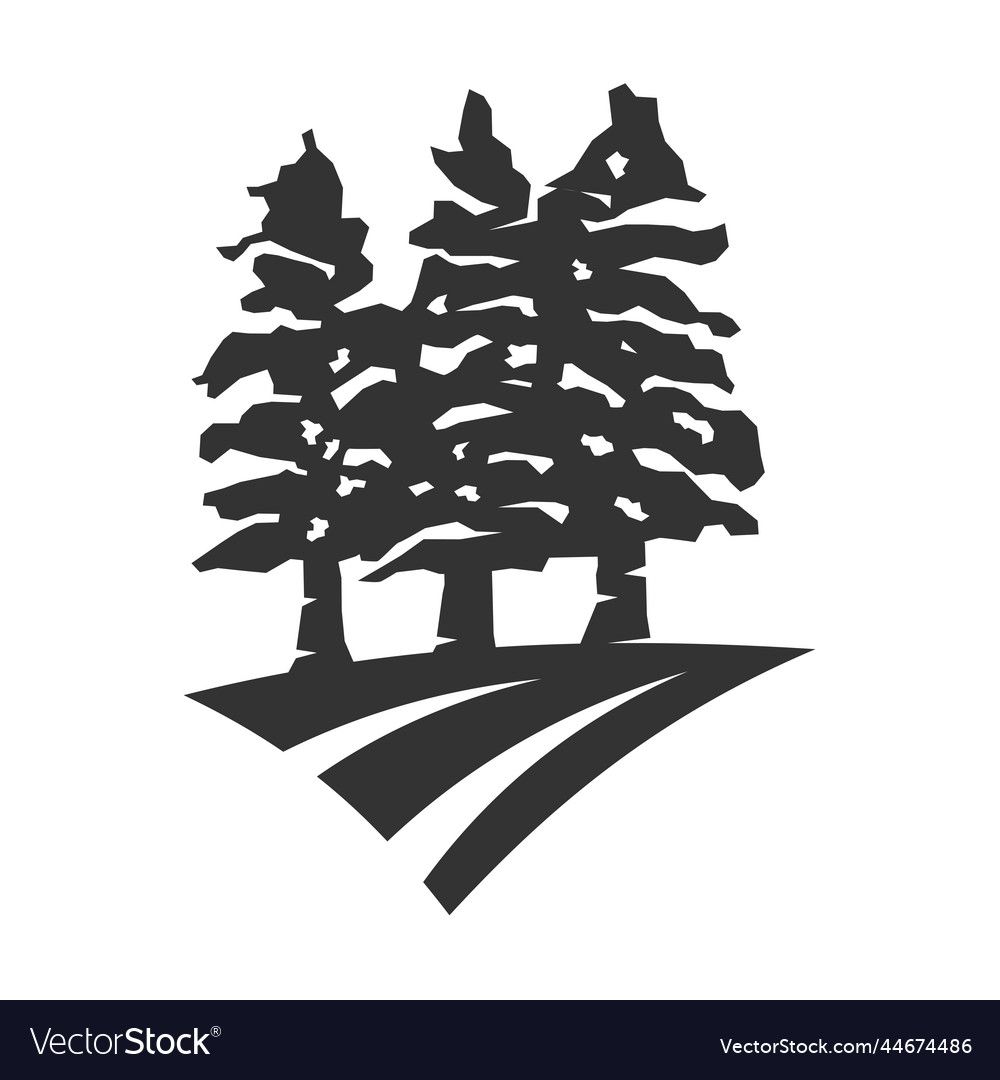 Cedar pine tree logo icon brand identity Vector Image