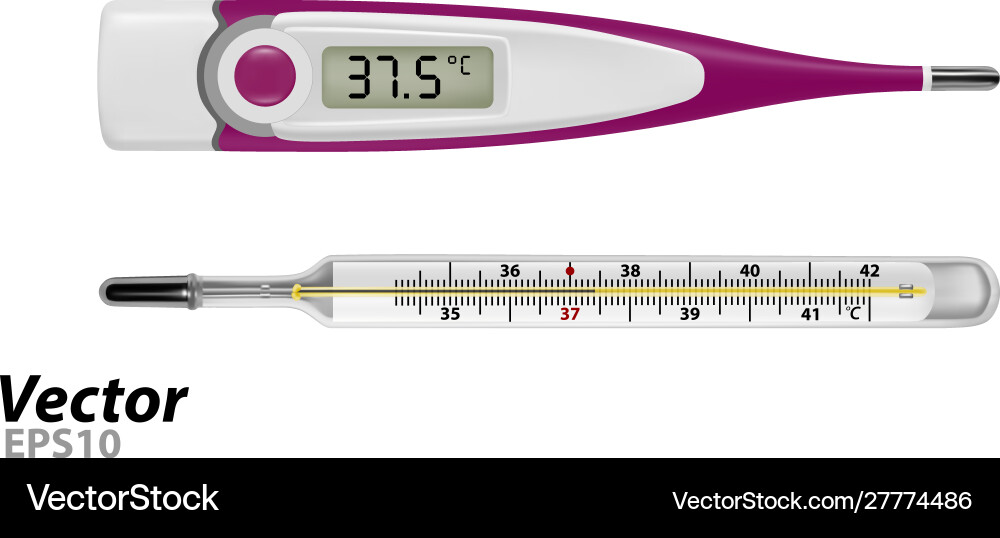 Electronic thermometer Royalty Free Vector Image