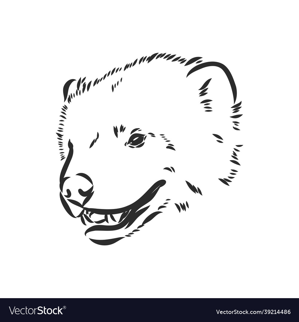 Wolverine Black and White Vector Images (53) Wolverine Black and White Vector Images (53)