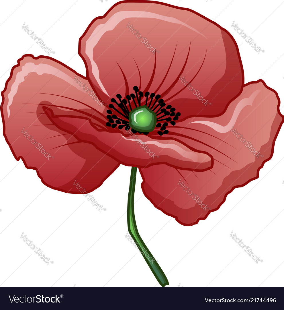 Bud of poppy icon cartoon style Royalty Free Vector Image