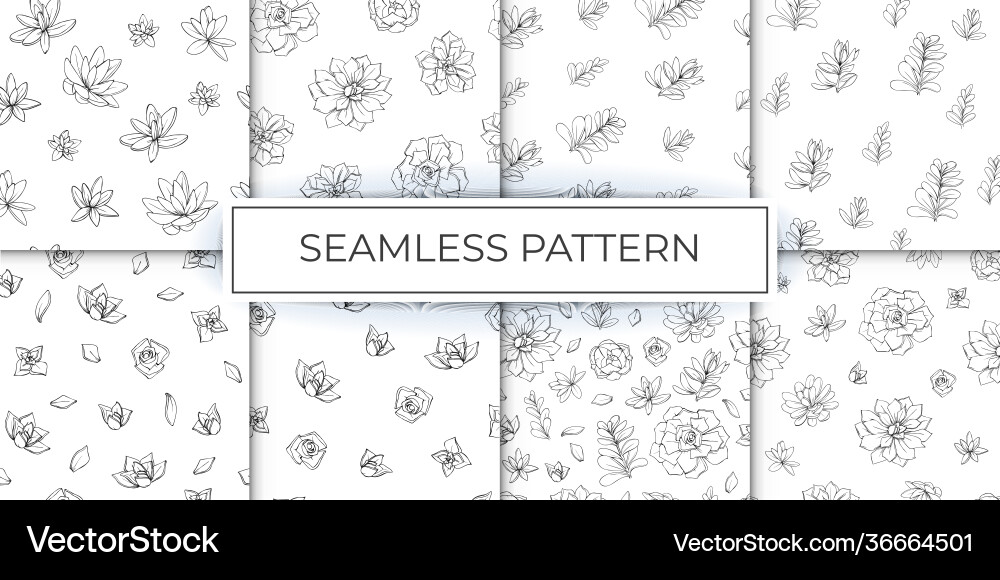 Collection seamless patterns flowers Royalty Free Vector
