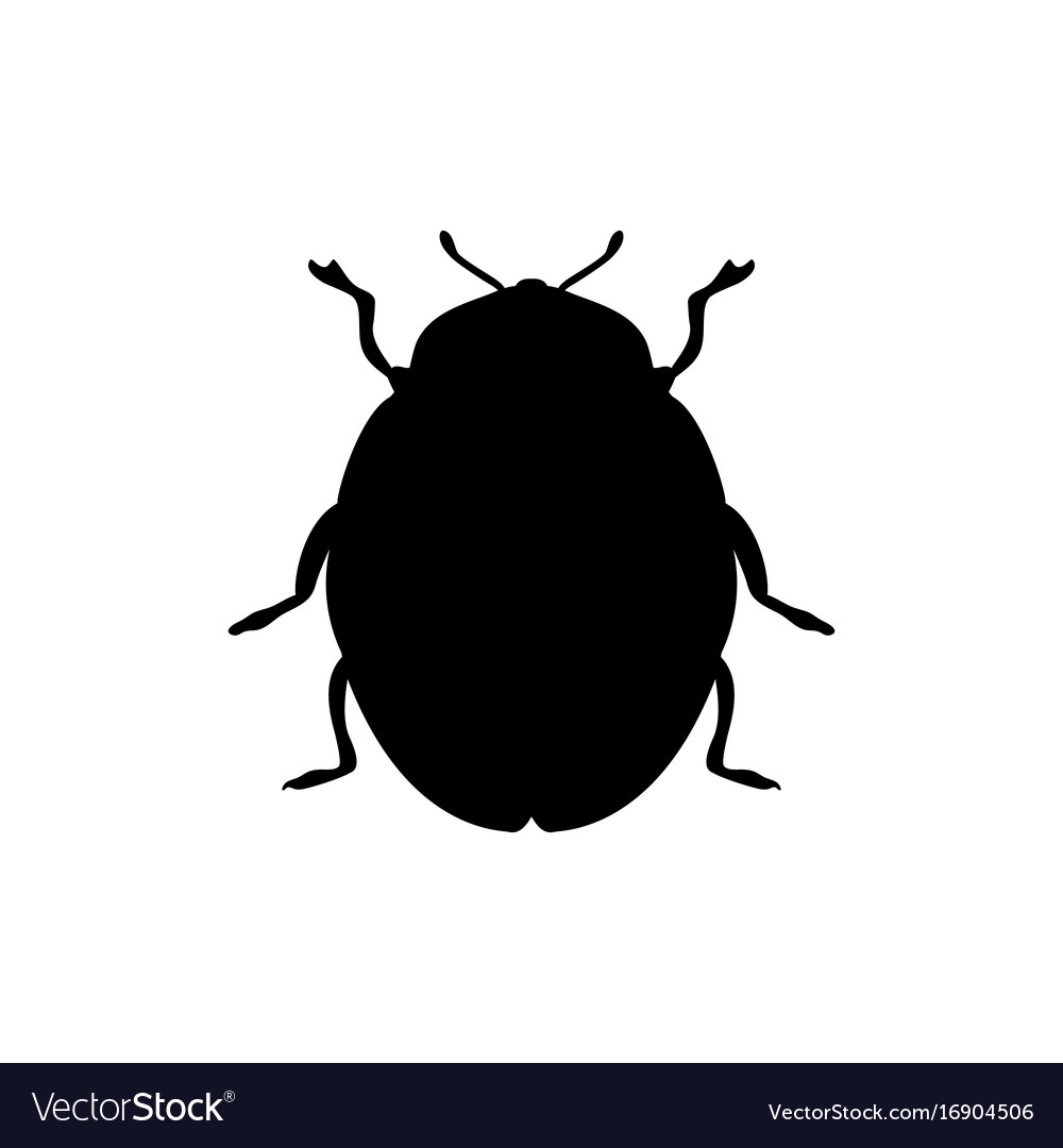 Beetle insect black silhouette animal Royalty Free Vector