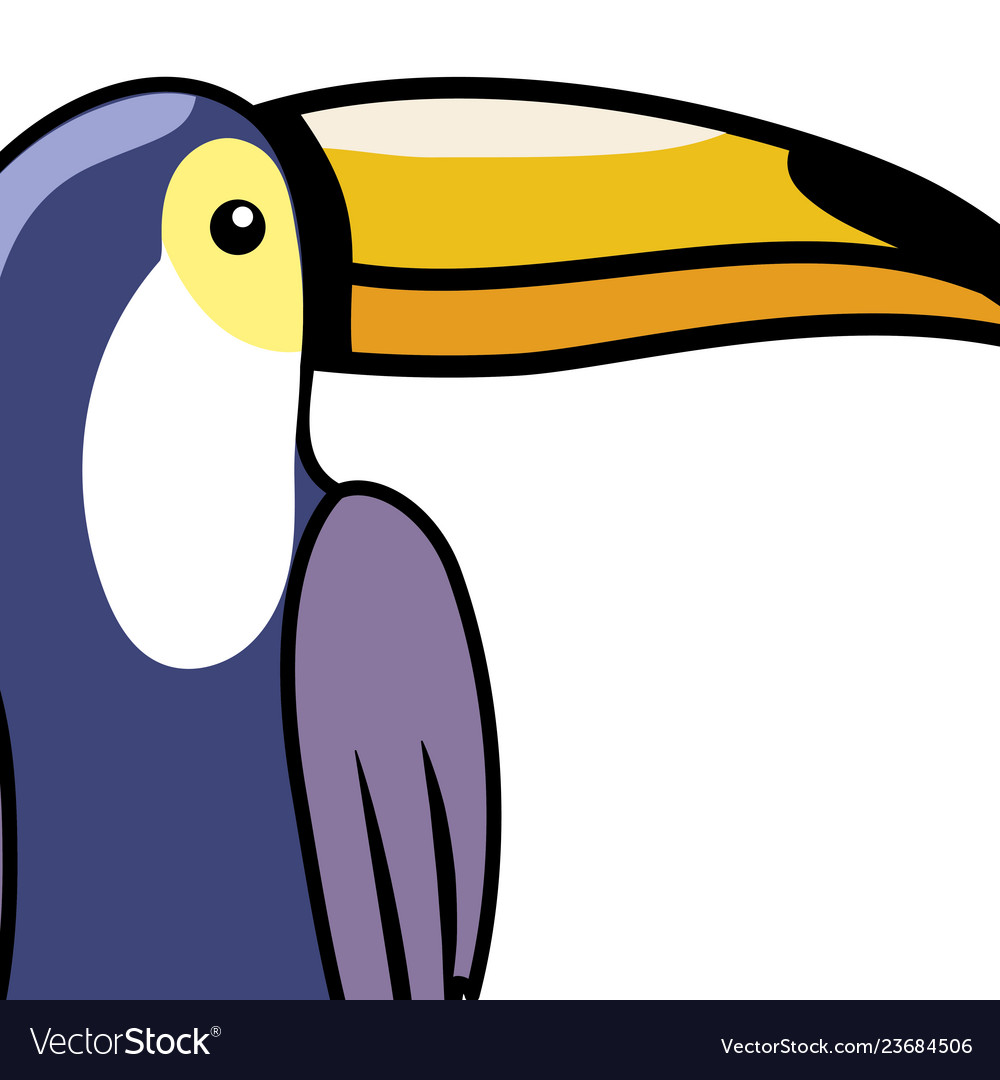 Cute tucano cartoon