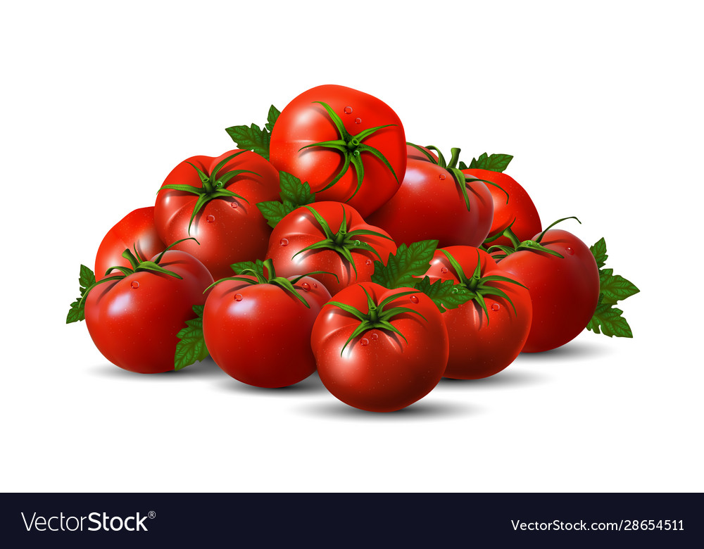 A bunch red tomatoes with green ponytails