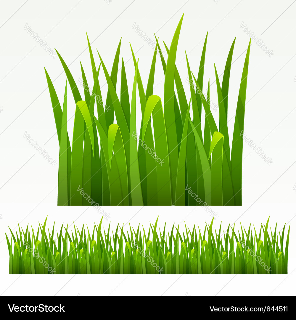 Grass green border Royalty Free Vector Image - VectorStock