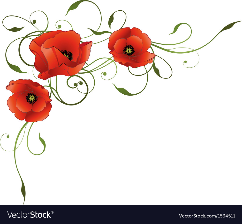 Download Poppies floral element border Royalty Free Vector Image