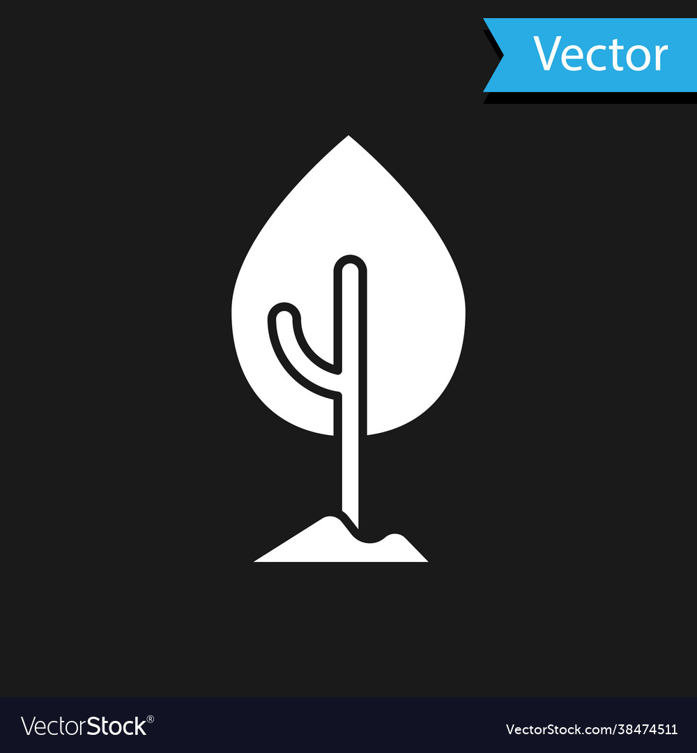 White tree icon isolated on black background Vector Image