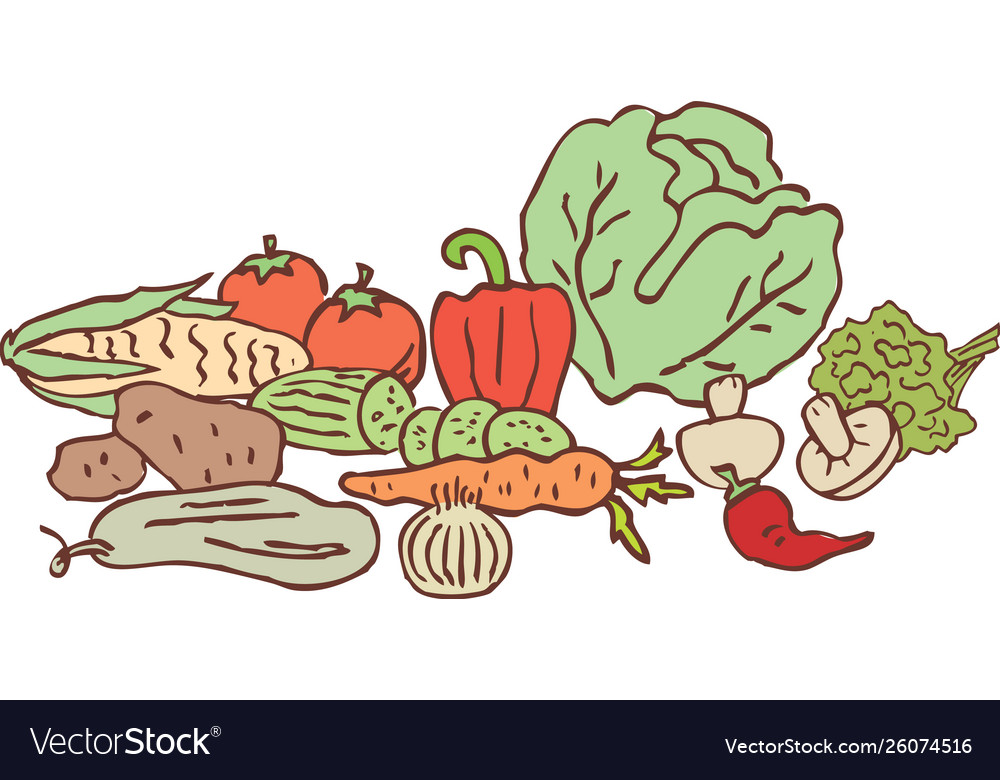 Still life ripe vegetables all objects isolated Vector Image