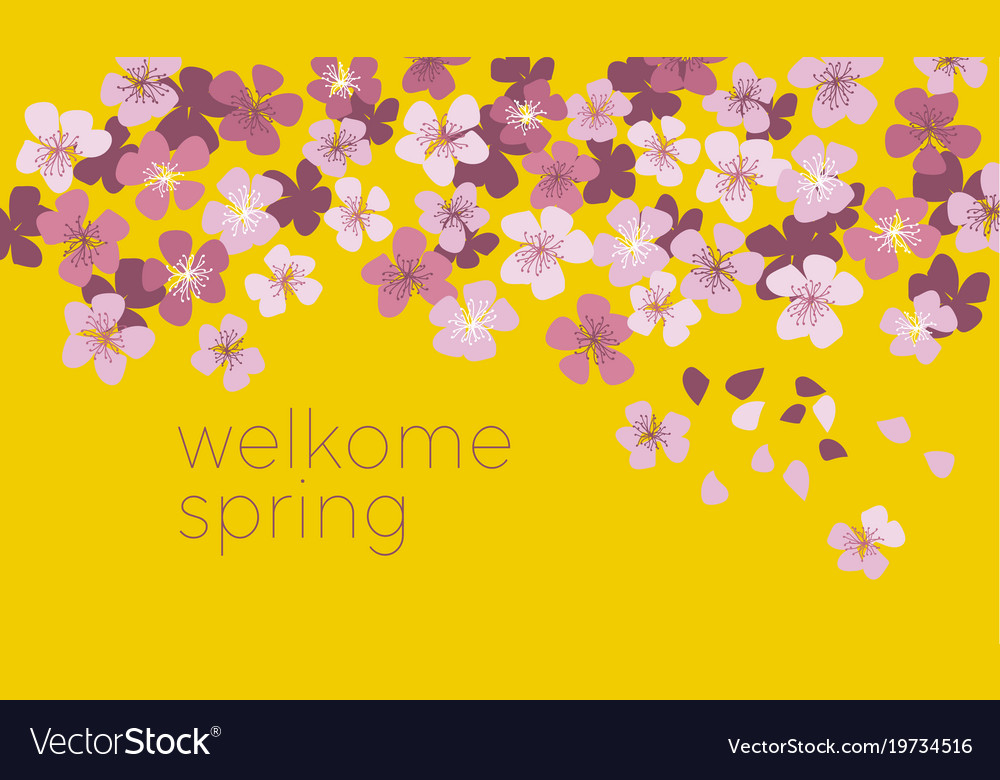 Sunny Yellow Color Decorative Cherry Blossom Vector Image