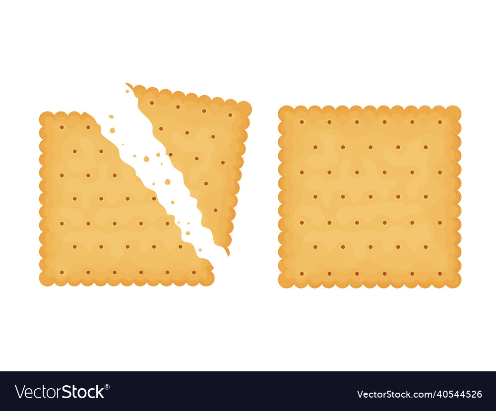 Square crackers two Royalty Free Vector Image - VectorStock