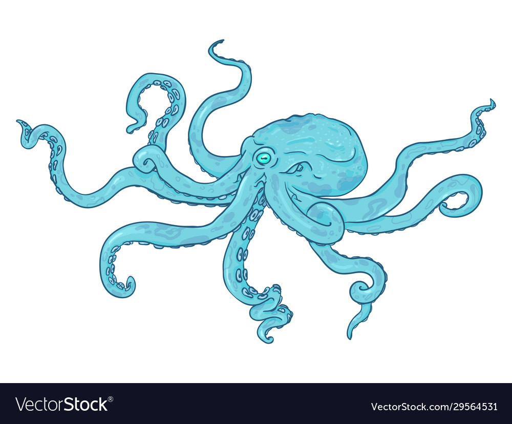 Single Cartoon - türkis octopus wild