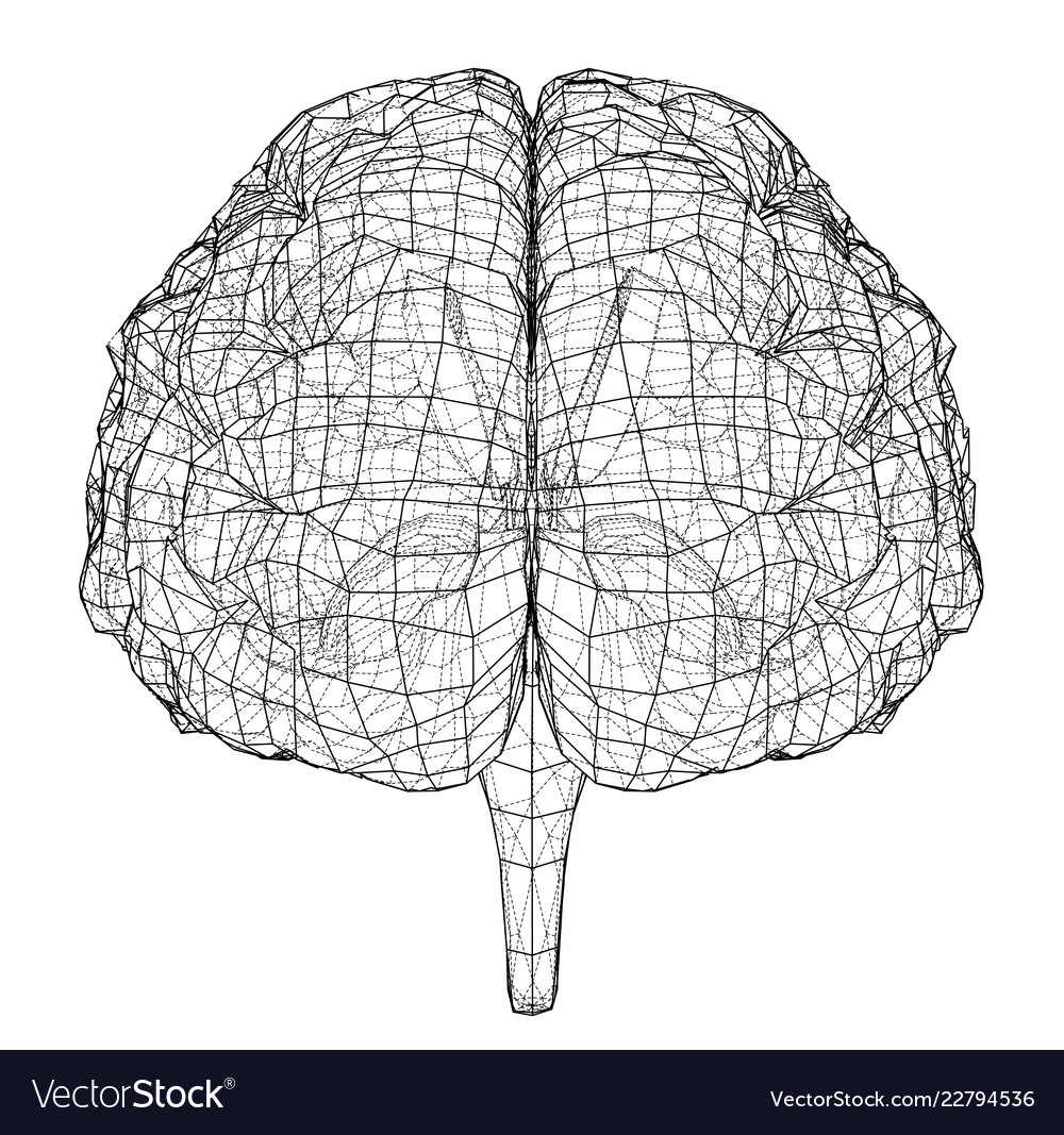 3d outline brain rendering 3d Royalty Free Vector Image