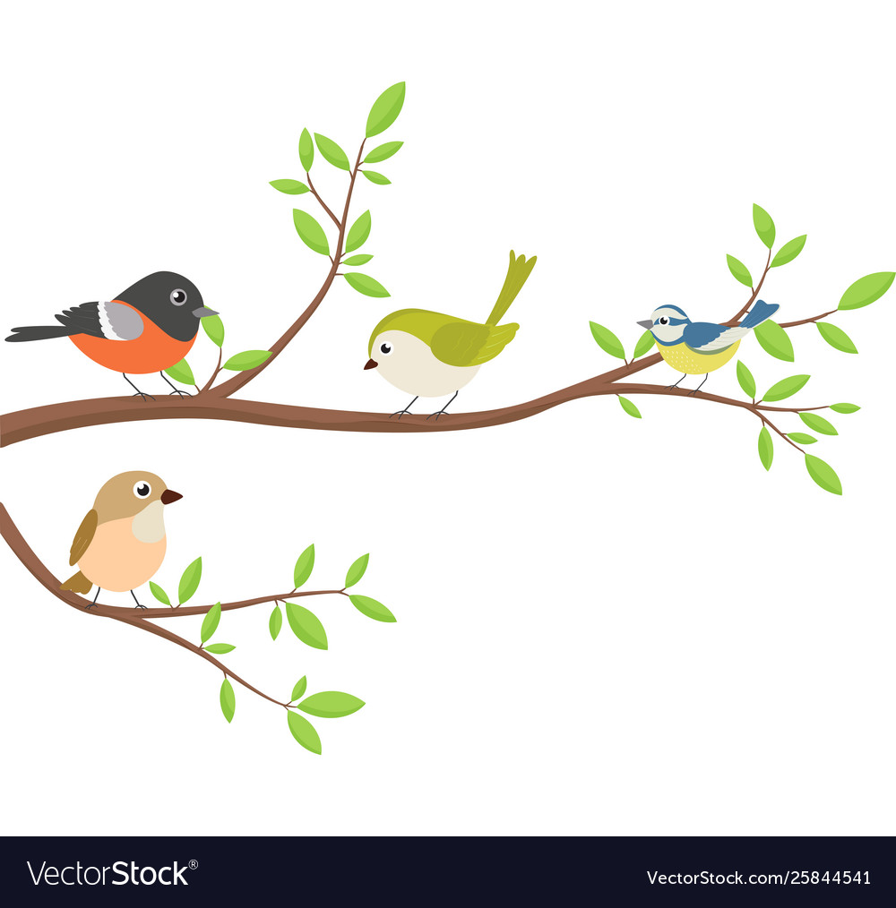 Cute birds with tree branch Royalty Free Vector Image