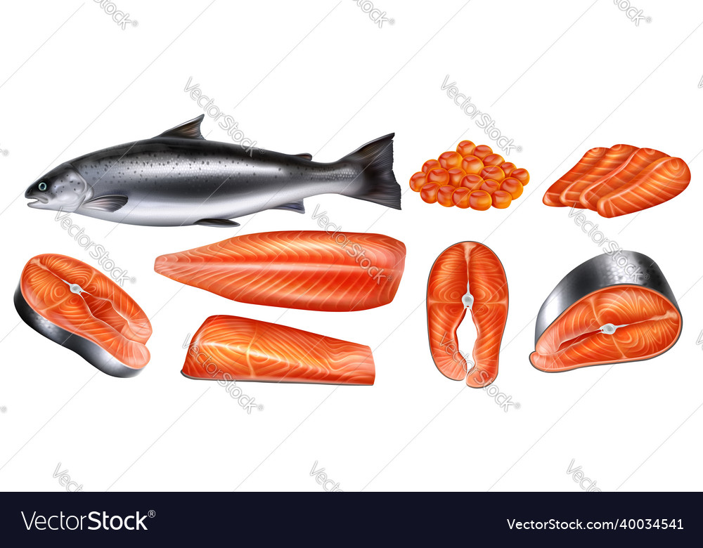 Raw salmon fish set Royalty Free Vector Image - VectorStock