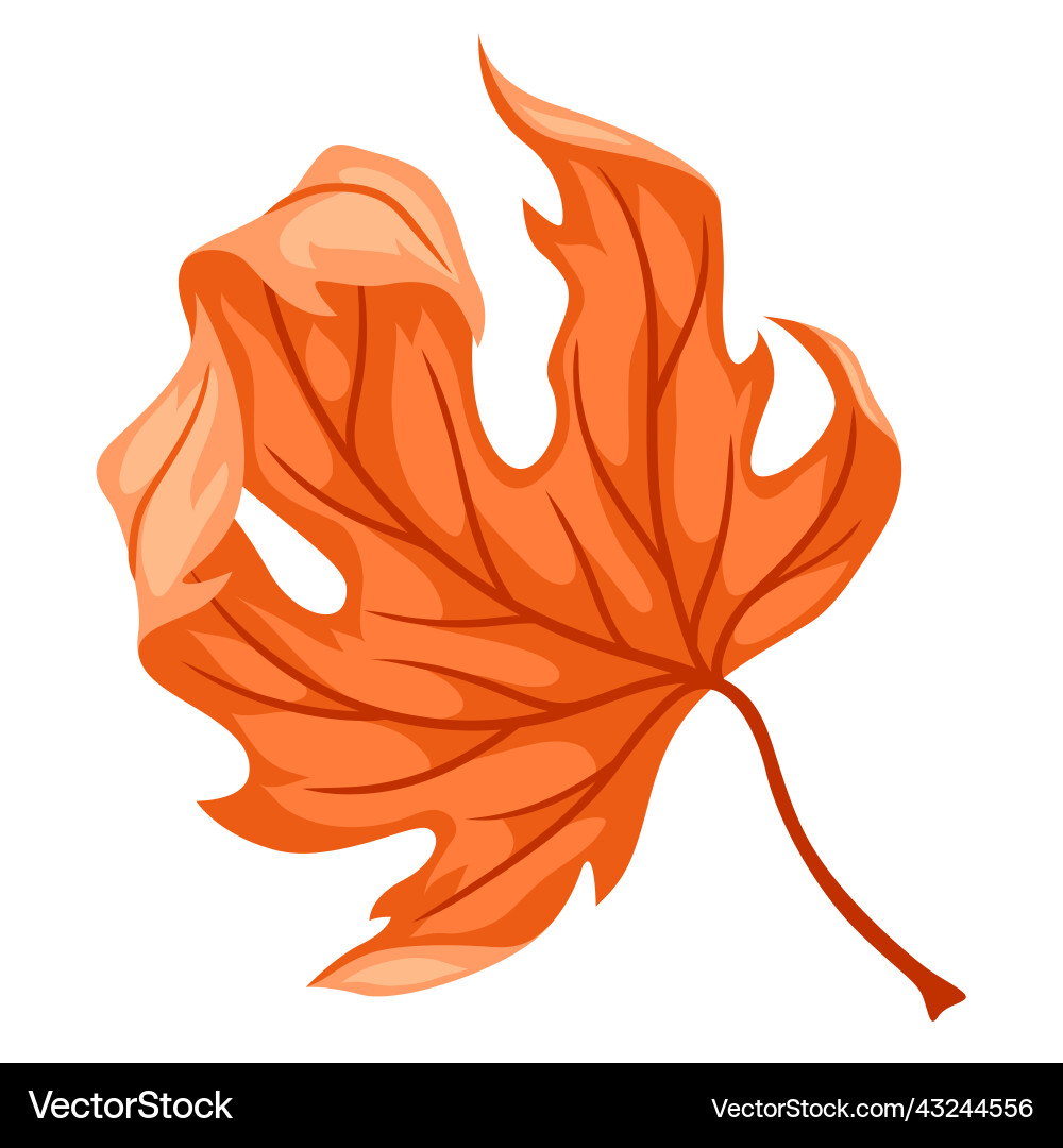 Autumn maple leaf stylized Royalty Free Vector Image