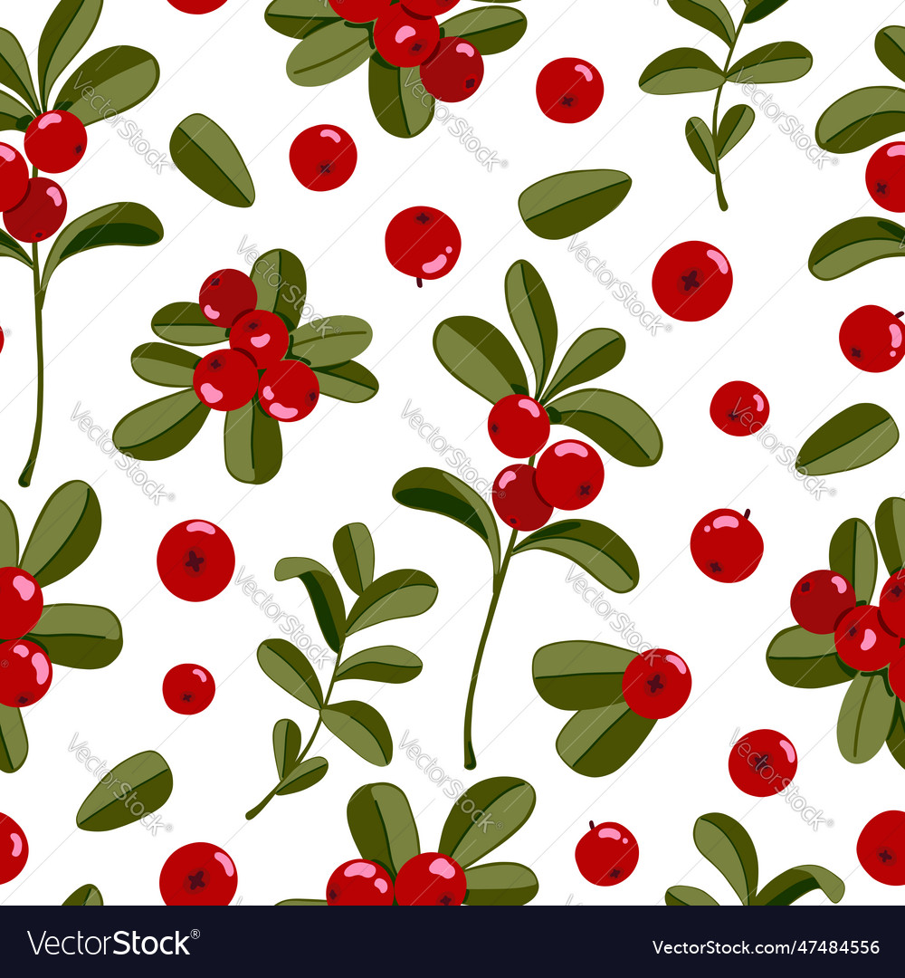 Lingonberry seamless pattern cowberry vector image Lingonberry seamless pattern cowberry